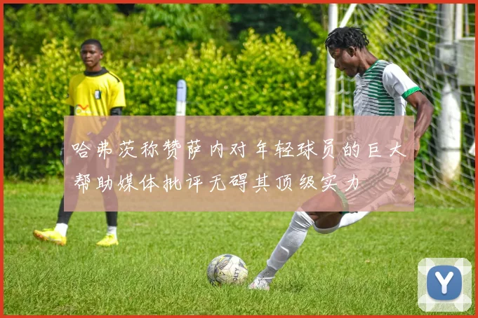 哈弗茨称赞萨内对年轻球员的巨大帮助媒体批评无碍其顶级实力